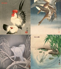 click for a closer view